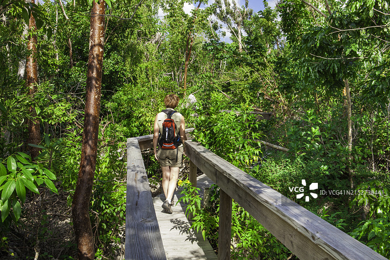 开曼布拉克岛的木制栈道 - 开曼群岛图片素材