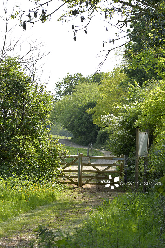 英格兰乡村奶牛场野生动物步道图片素材