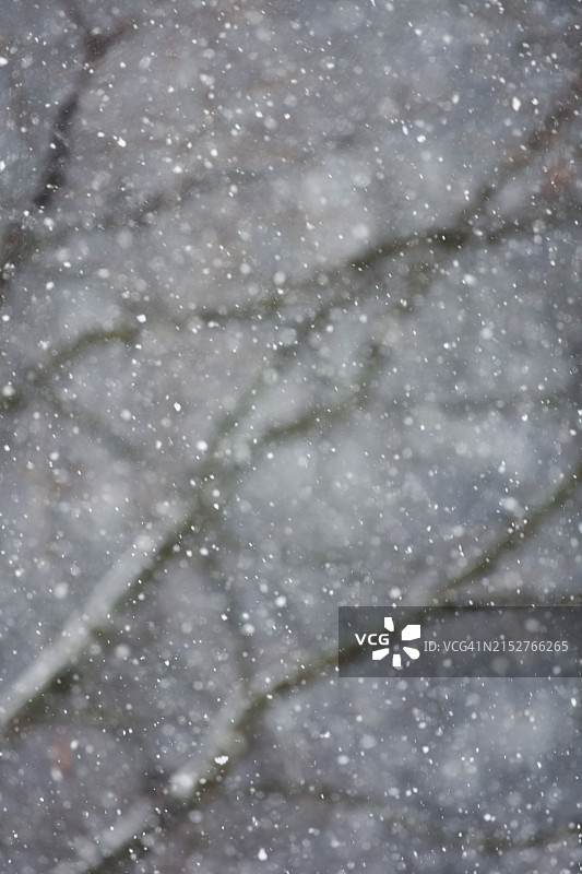 飘落的雪花图片素材
