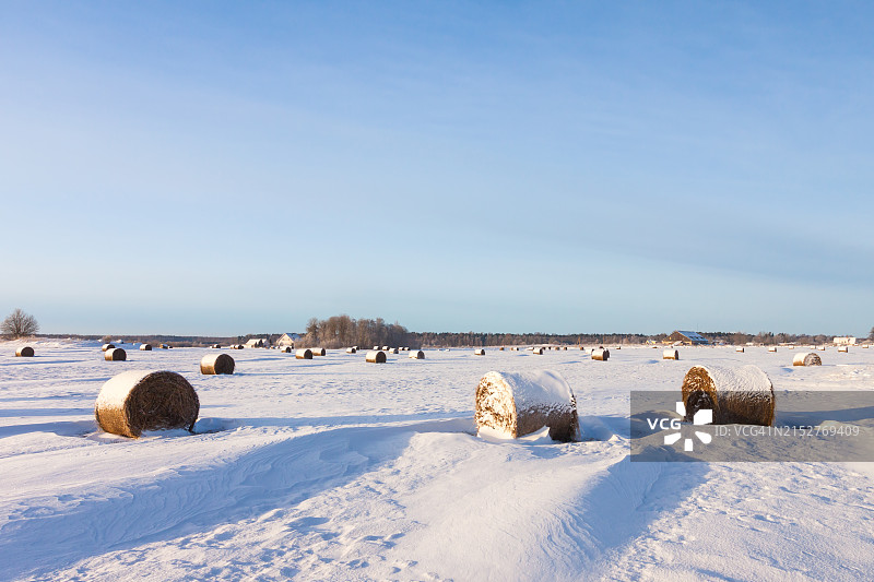 雪地里的干草捆图片素材