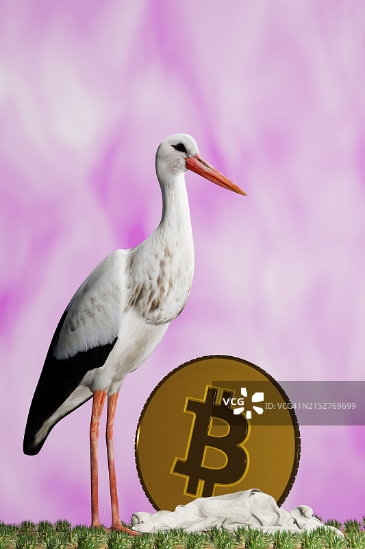 金融科技概念（世界各地拍摄）图片素材