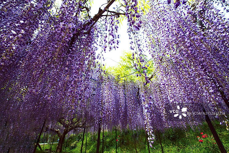 希望你在这里图片素材