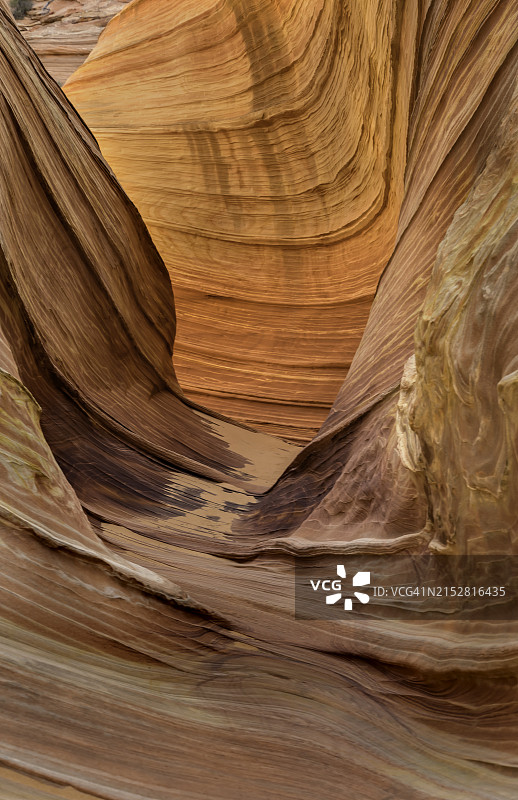 美国西南部壮丽的地质景观：The Wave图片素材