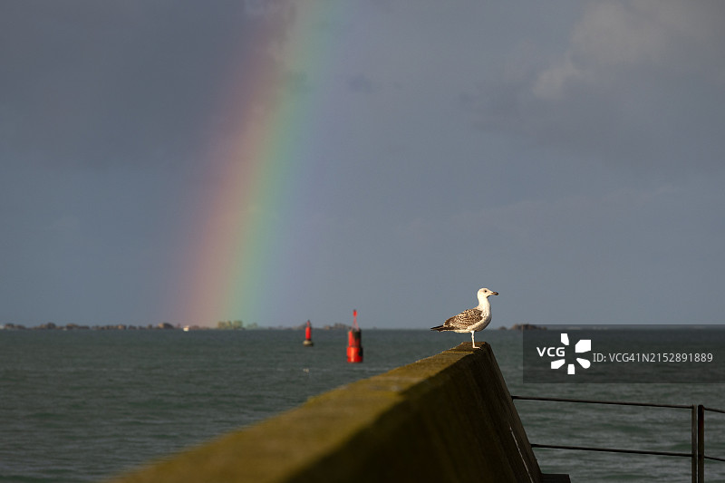 勒吉尔维内克港图片素材