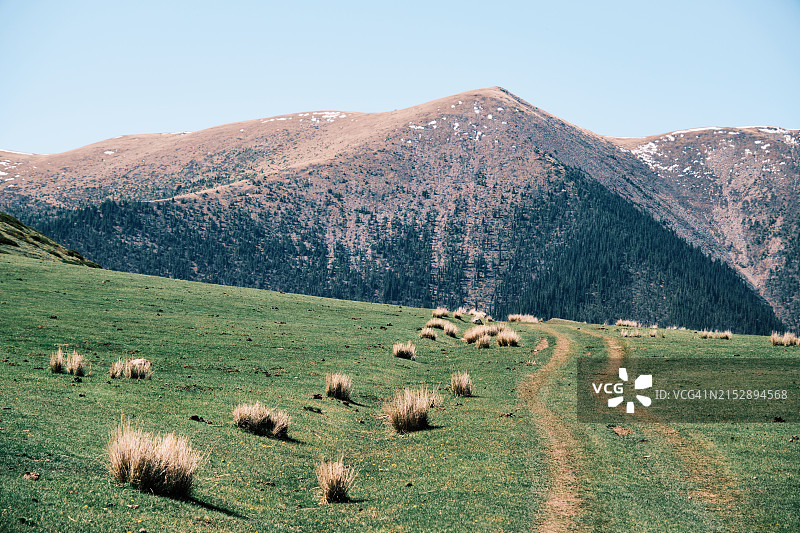 山地草地上的轮胎痕迹：越野旅行概念图片素材