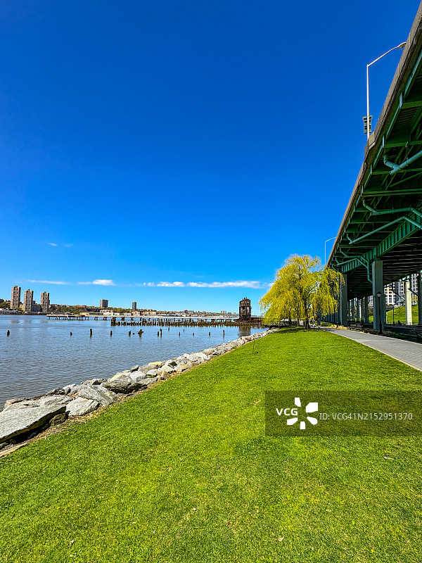 纽约哈德逊河畔河滨公园的草坪和垂柳图片素材