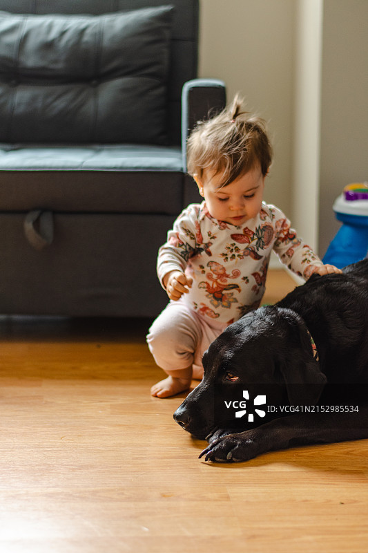 幼儿与小狗在家互动图片素材
