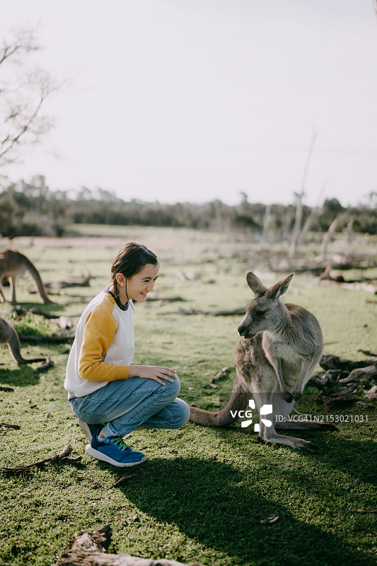 在澳大利亚与袋鼠在一起的年轻女孩图片素材