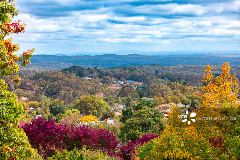 澳大利亚维多利亚州马其顿山树边的盛开植物美景图片素材