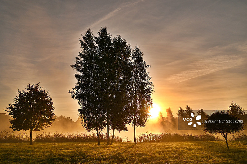 日落时分，拉脱维亚的田野上的树木与天空图片素材