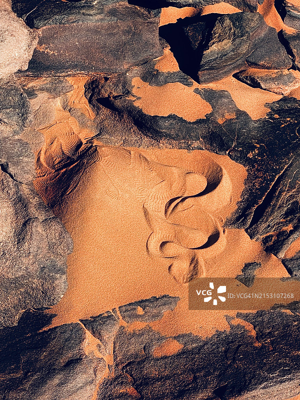 阿尔及利亚贾奈特的沙子特写图片素材