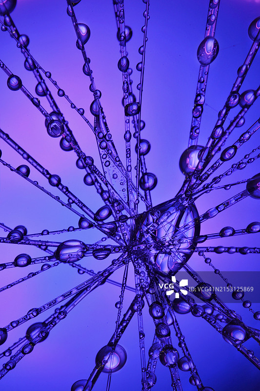 蓝天下泡泡的仰视角度图片素材