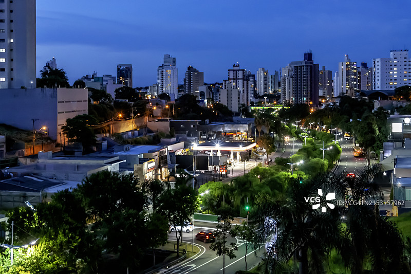 夏季夜晚的绿树成荫大道城市景观图片素材