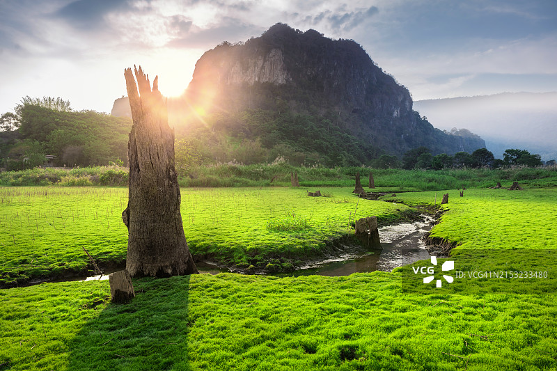 夏季水库退水景观图片素材