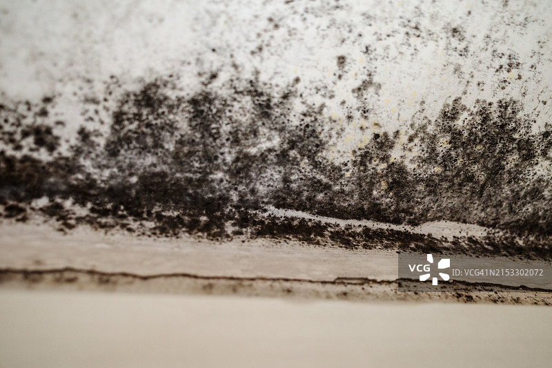 窗户上方白墙上的黑色霉斑或真菌图片素材