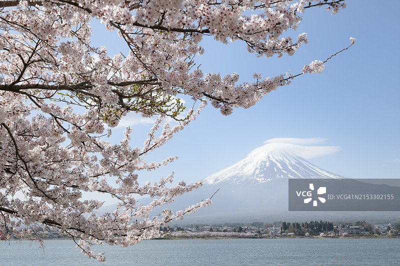 富士山与河口湖及樱花图片素材
