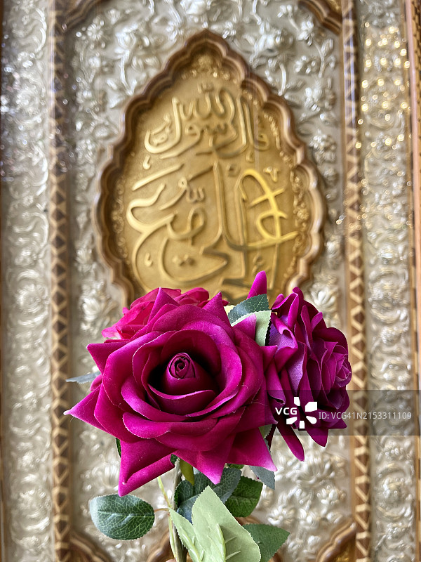 2022年7月14日，伊拉克纳杰夫，伊玛目·阿里圣殿中美丽的玫瑰花图片素材
