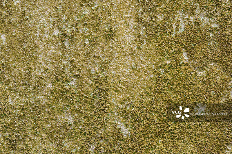 墙壁上的苔藓污渍图片素材