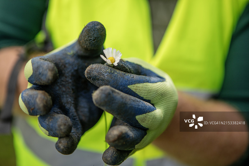 在荷兰乡村森林植物中检查污染物水平的手部特写图片素材