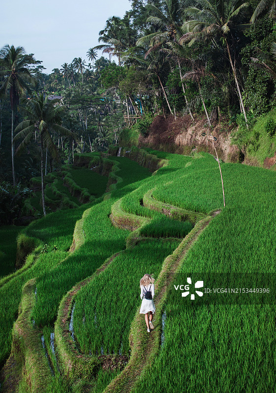美丽的白人金发女人身穿白色休闲连衣裙，欣赏中国台湾巴厘岛著名的德格拉朗梯田图片素材