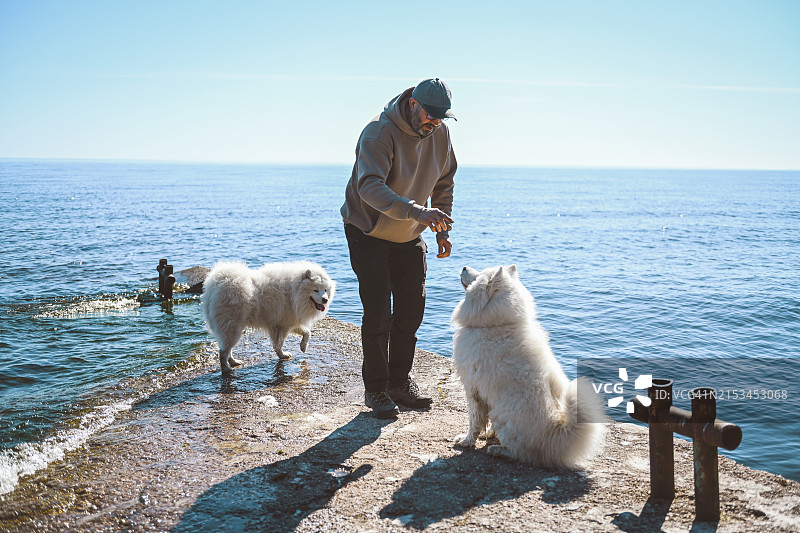 与萨摩耶犬在户外活动的中年男人图片素材