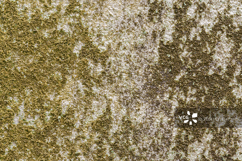 墙壁上的苔藓污渍图片素材