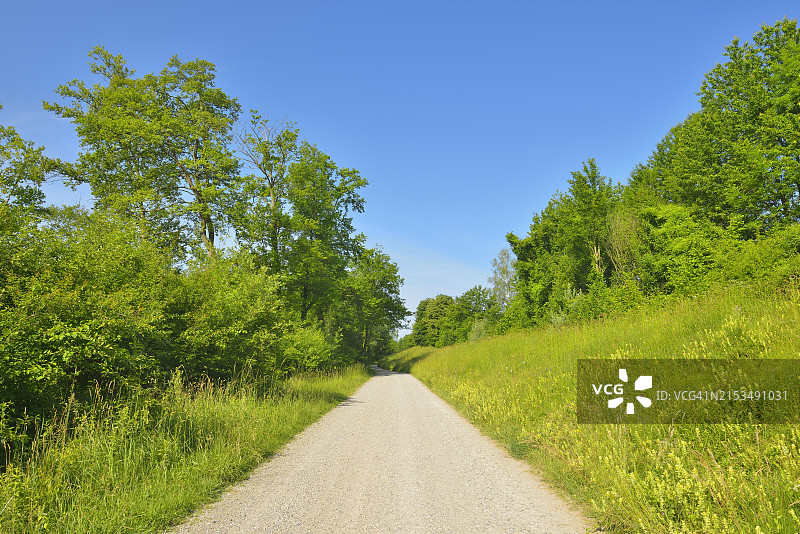 德国巴登-符腾堡州陶伯吉森自然保护区的春季土路图片素材