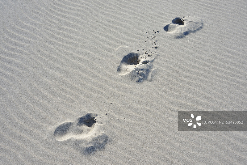 德国波罗的海沙滩上的脚印图片素材