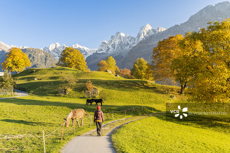 瑞士布雷加利亚山谷秋景图片素材