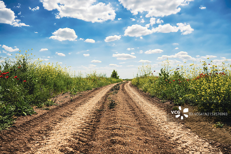 蓝天白云下延伸的泥土路与鲜花，自然概念壁纸图片素材