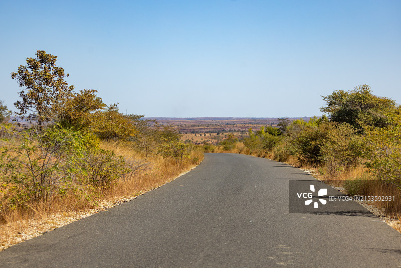 马达加斯加乡村的孤独之路图片素材