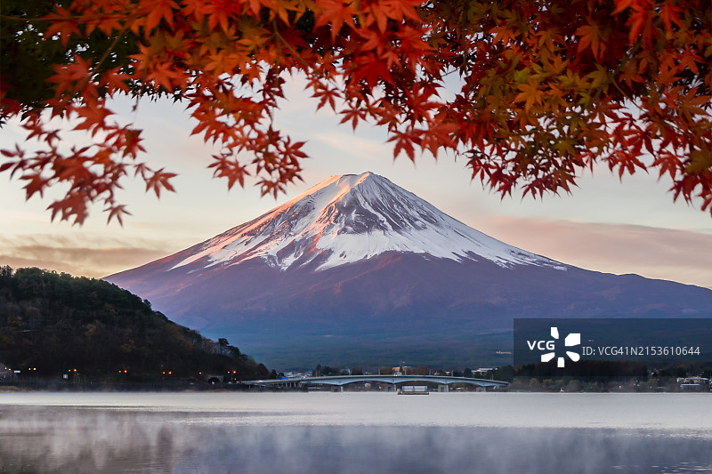 富士山与红枫树，河口湖的清晨薄雾图片素材