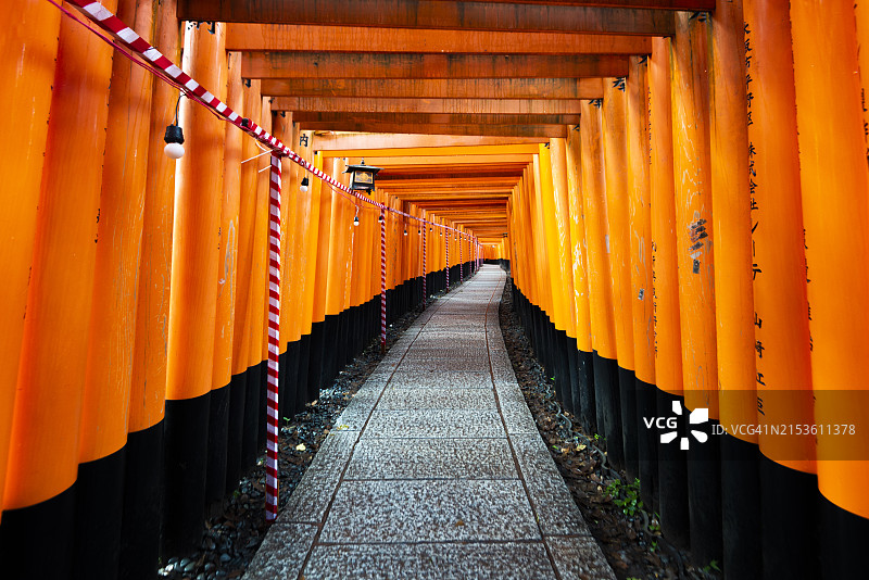 京都伏见稻荷大社的鸟居隧道图片素材