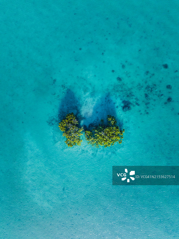 澳大利亚西澳大利亚州布鲁姆罗巴克湾高潮时无人机拍摄的红树林图片素材