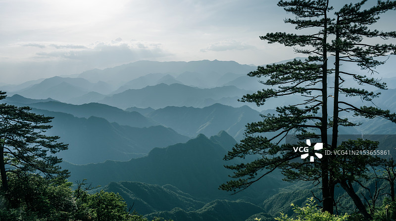 以大树为背景的自然风光图片素材