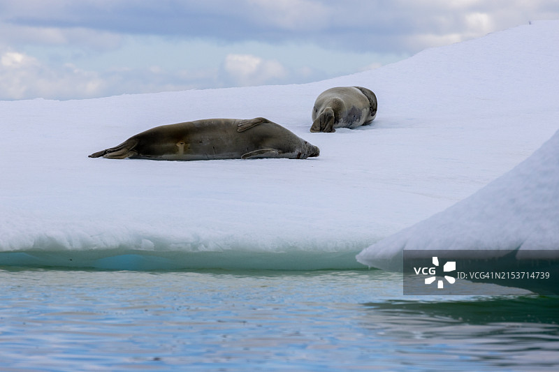 玛格丽特湾的马蹄岛图片素材