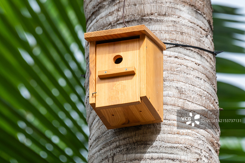 树上的人造鸟巢图片素材