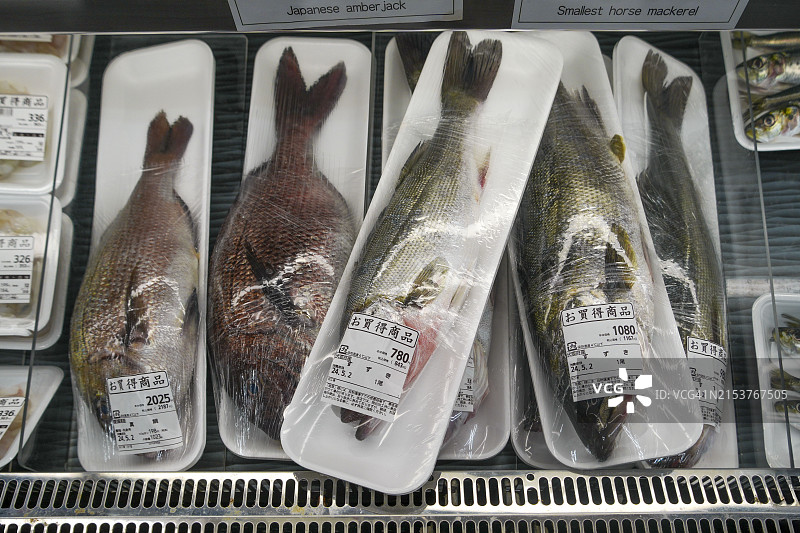 大阪和爱媛的日式鲈鱼和红鲷鱼图片素材