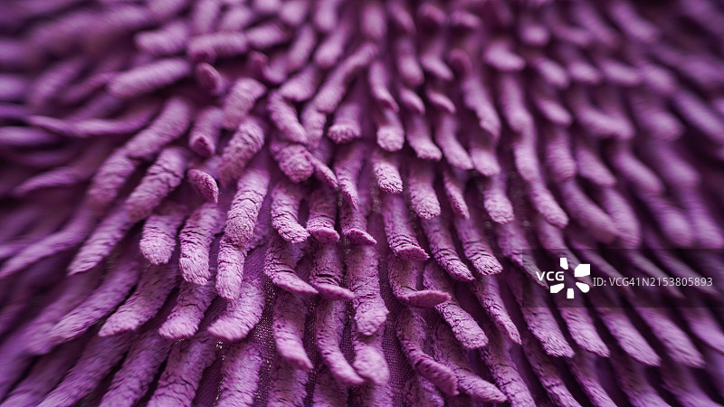 显微镜下有机纤维抽象纹理图片素材