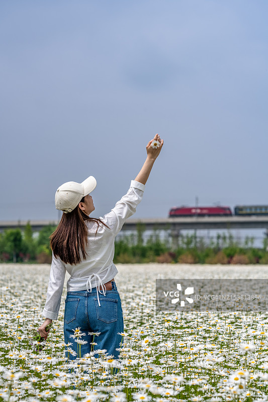 站在移动的火车前白色雏菊花田中的美丽女人图片素材