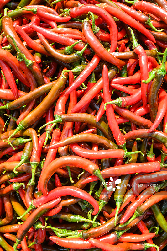 青红长辣椒混合图片素材