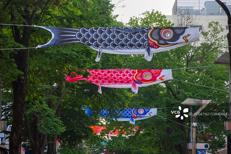 伊势佐木町的鲤鱼旗图片素材