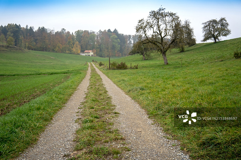 风景优美的乡村公路图片素材