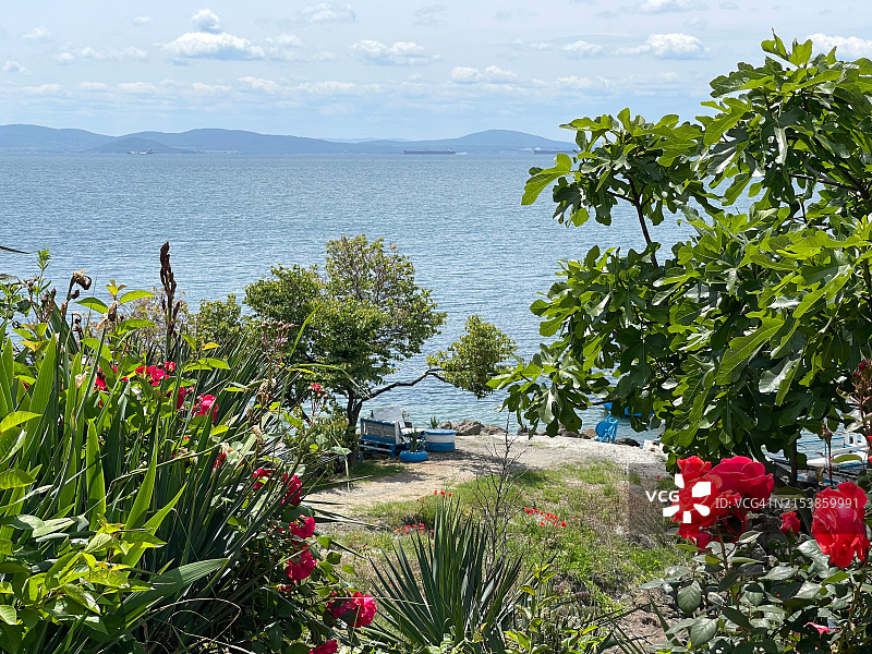 春季海景全景图片素材