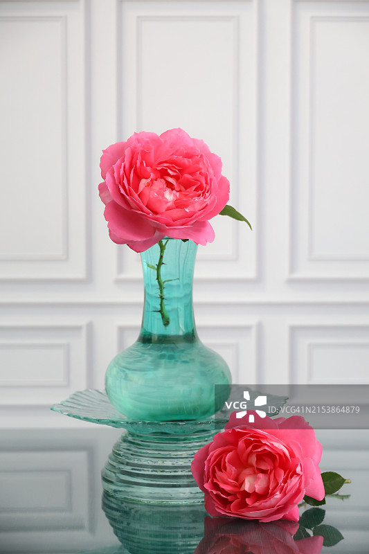 粉色玫瑰与绿色花瓶图片素材