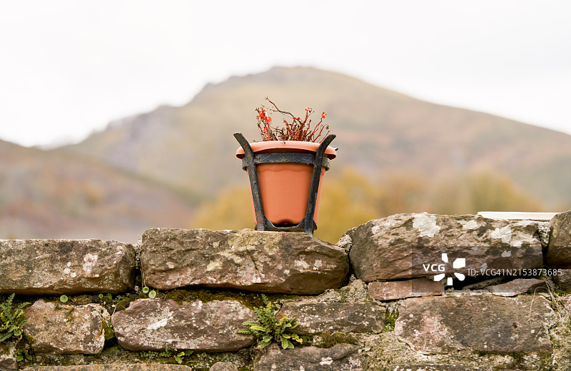 房子外石墙上的陶瓷花瓶正面图（无人）图片素材