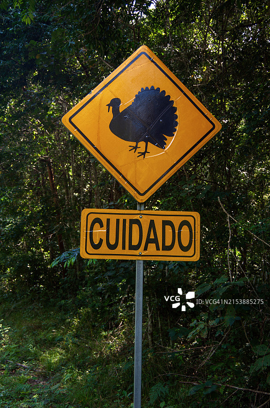 西班牙语小心野生动物警示牌眼斑火鸡图片素材
