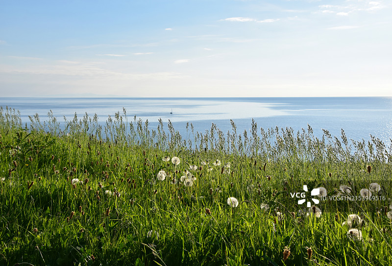 开满野花的白色天堂海岸图片素材