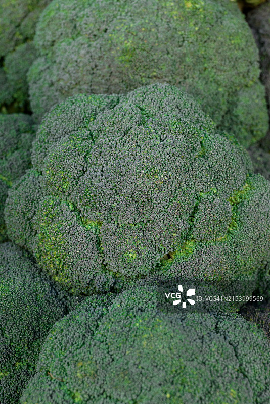 西兰花全画幅拍摄图片素材