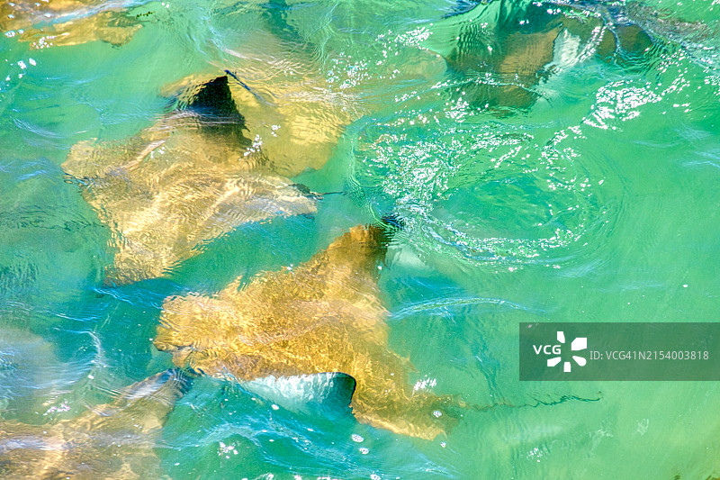 美国完整海景图片素材